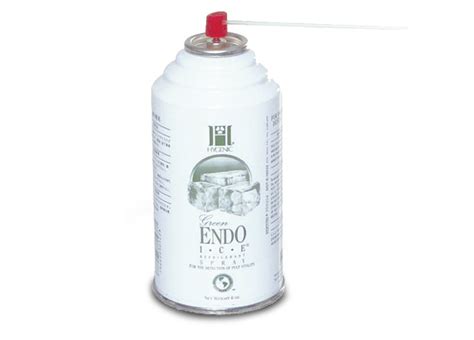 Endo Ice 480ml - Dentobal