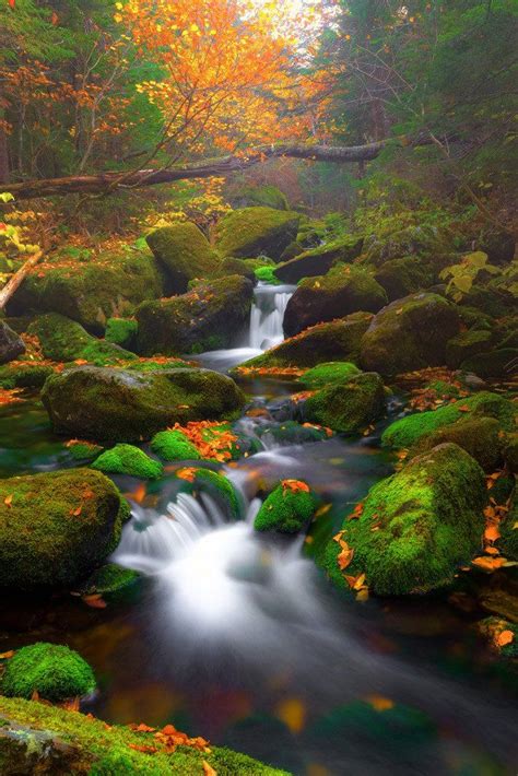 Tranquility | Beautiful waterfalls, Landscape photography, Waterfall