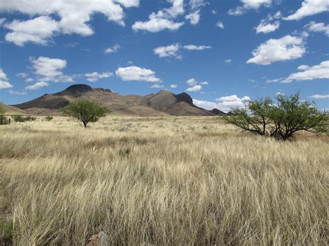 Mustang Ranch - Arizona Land and Water Trust