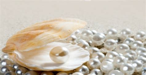 Pearl - Nature's Treasure from the Sea — Miami's Finest Jeweler