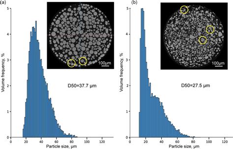 Particle size distribution and cross-sections of GA (a) and WA (b) low... | Download Scientific ...