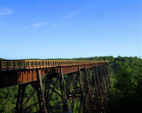 Kinzua Skywalk - Tracks Across the Sky | Kinzua bridge state park, State parks, Sky walk