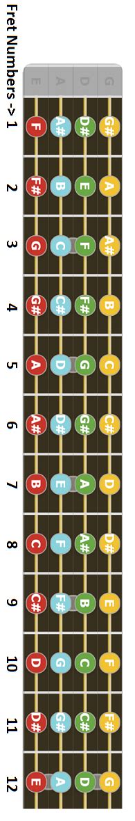 Bass neck diagrams - blacklomi