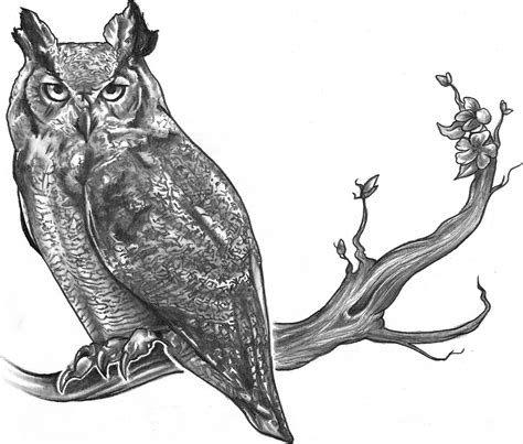 Owl Flying Drawing | Free download on ClipArtMag