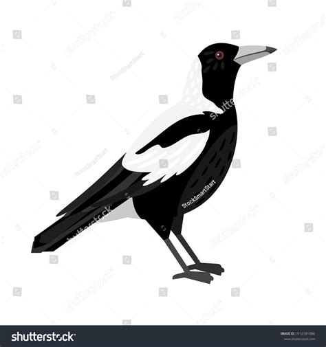 Magpie Flying: Over 883 Royalty-Free Licensable Stock Vectors & Vector ...