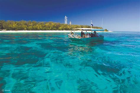 Lady Elliot Island Great Barrier Reef Day Tour from Gold Coast - Klook ...