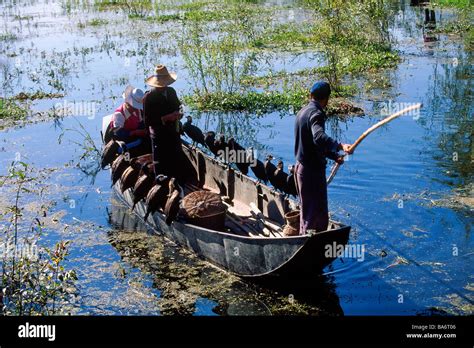 China, Yunnan province, Erhai lake, cormorant fishing Stock Photo - Alamy