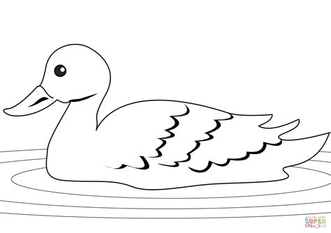 Duck in the Pond coloring page | Free Printable Coloring Pages