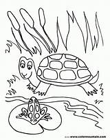 Pond Coloring Pages Preschool sketch template