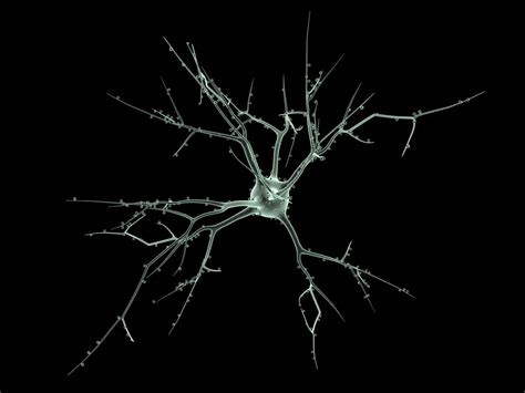 Neuron Wallpapers - 4k, HD Neuron Backgrounds on WallpaperBat