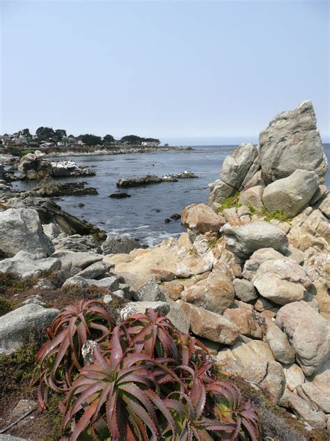 Free Images : beach, landscape, sea, coast, tree, nature, rock, ocean, shore, flower, vacation ...