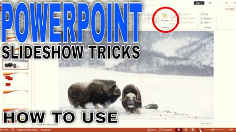 How To Use Slideshow Tricks In PowerPoint 🔴 - YouTube