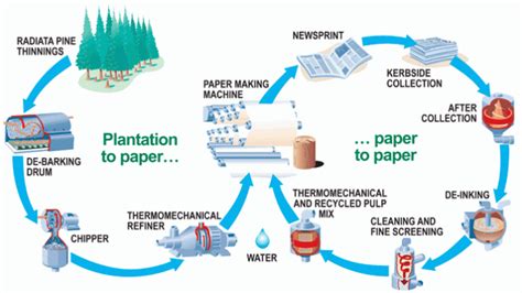 The Cardboard Recycling Process