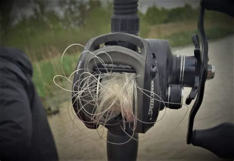 Baitcaster Birds Nest: Must-know Tips To Remove It Quickly