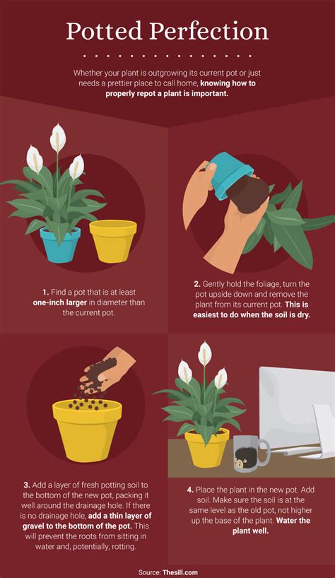 The Benefits of Office and House Plants – My Health Maven