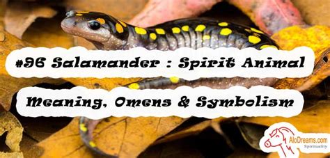 #96 Salamander : Spirit Animal – Meaning, Omens & Symbolism