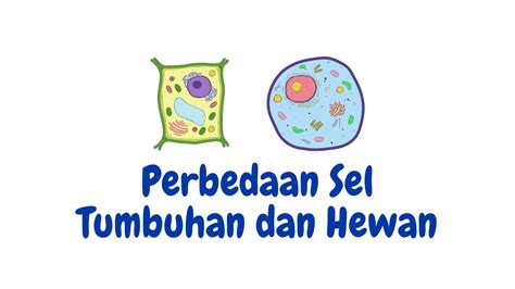 7 Perbedaan Sel Tumbuhan dan Sel Hewan - Fakultas Pertanian