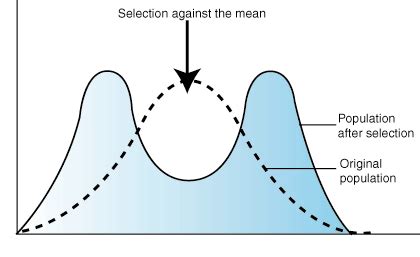 biology.(:: BLOG #4:Describe the three types of selection: directional, stabilizing and ...