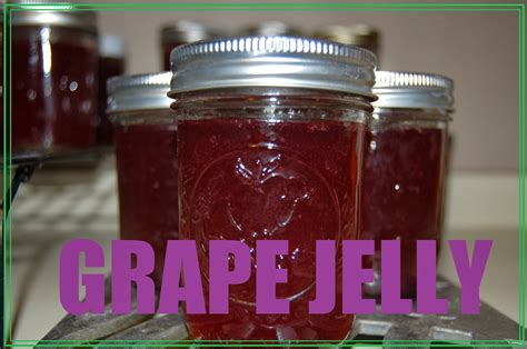 Our Little Backyard Farm: How to make Homemade Grape Jelly