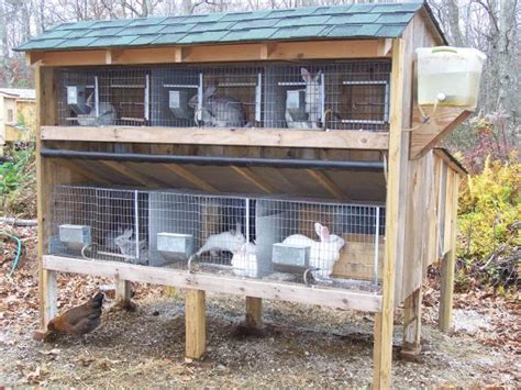 Outdoor-rabbit-hutch – Arnaud's Language Kitchen