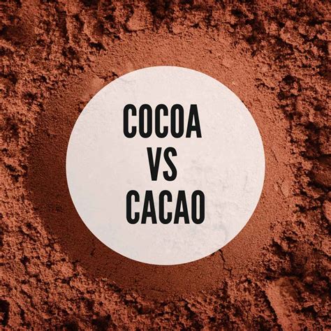 Cacao vs Cocoa - Texanerin Baking