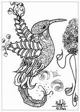 Get This Free Complex Coloring Pages Printable WDCI0 sketch template