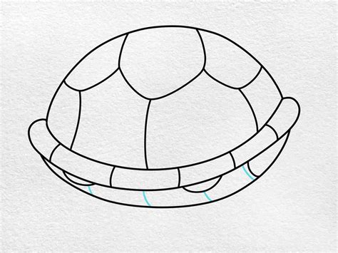 How to Draw a Turtle Shell - HelloArtsy