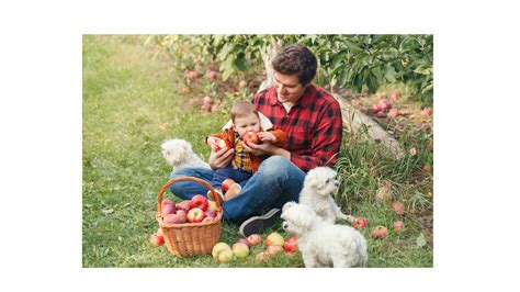 10 Fun Fall Activities to do With Your Pet — Amenify