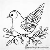 Peace Dove Coloring Pages  Free & Printable sketch template