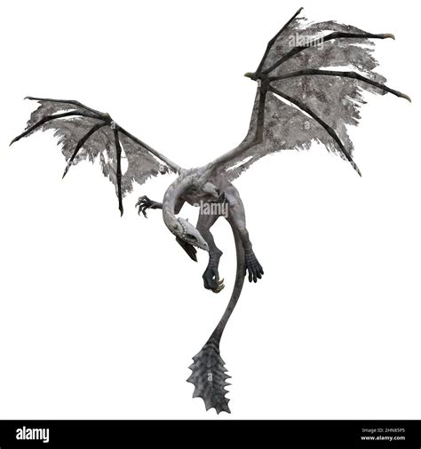 3D illustration fantasy flying dragon isolated on white Stock Photo - Alamy