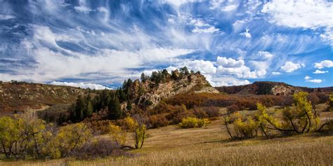 A Tree Falling: Roxborough State Park, October 2014