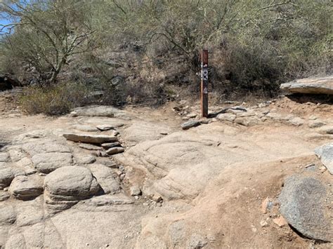 Hike Dobbins Lookout and find Native American petroglyphs - WildPathsAZ