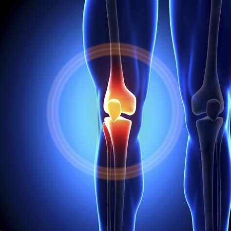 Knee Bursitis Anatomy