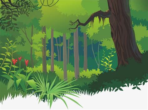 Cartoon Tropical Forest PNG and Vector