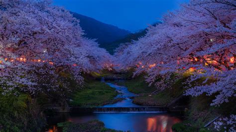 Pin on Charming Kyoto