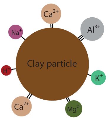 Cation Ratios – Aglime of Australia