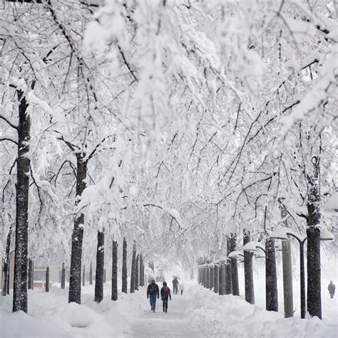 7 Things to Do in Winter If You Miss Summers in DC