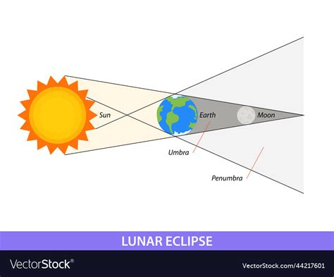 Diagram showing lunar eclipse on earth Royalty Free Vector