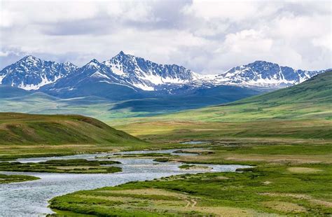 Wildlife Animal conservation in Deosai National Park