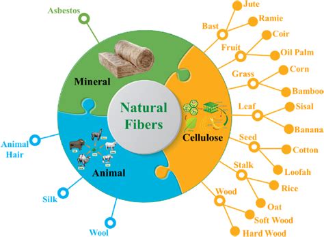 Classification of plant fibers according to the origin. | Download ...