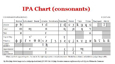 NLP Introduction to NLP Linguistics IPA Chart consonants