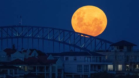 Supermoon : Where Are the Good Supermoon Photos on Social Media ... - Holders can earn more ...