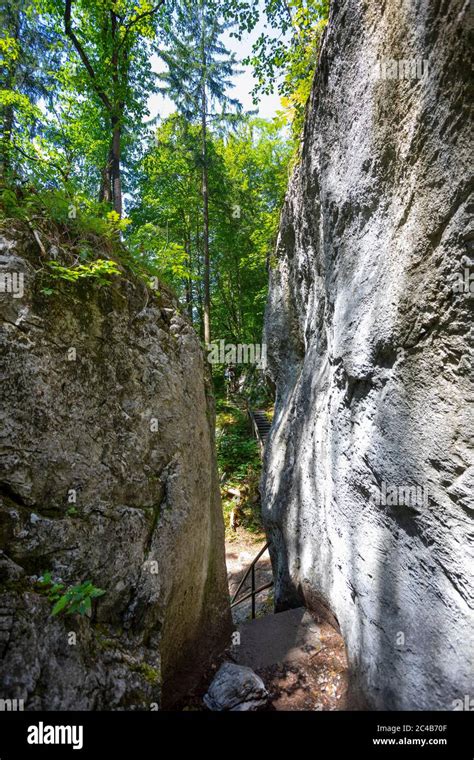 Path through the Salzach Gorge, Salzachoefen, River Salzach, Salzburger Land, Province of ...