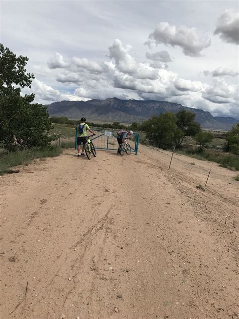 Bosque Trail - New Mexico | AllTrails