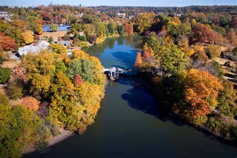 Piedmont Park in Fall - Piedmont Park Conservancy, Inc.