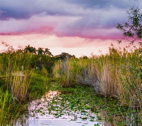 Everglades National Park