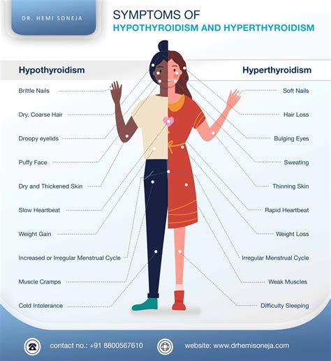 WHAT ARE THYROID DISORDERS: CAUSES, TREATMENT AND MORE