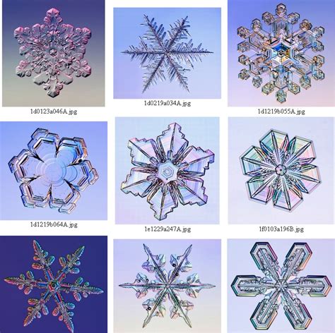 Snowflakes under the microscope | Schneeflocke fotos, Schneeflocken, Naturphänomene