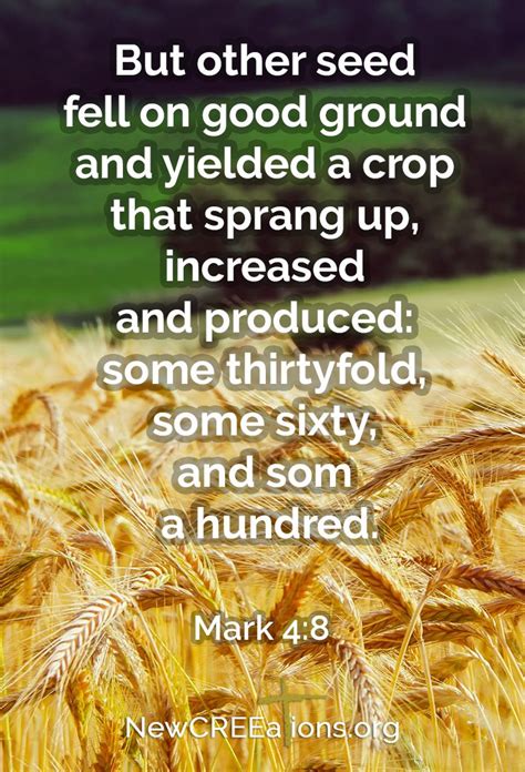 Good Ground Produces a Bountiful Harvest - Mark 4:8 | Bible mapping ...