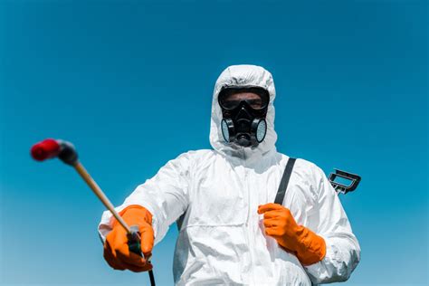 Difference between Pest Control and Exterminators